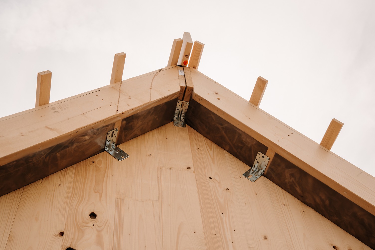 TreetekVianen2_MichèleGiebing-12